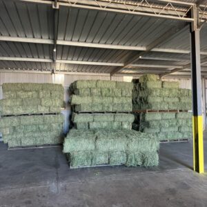 Lucerne Bales