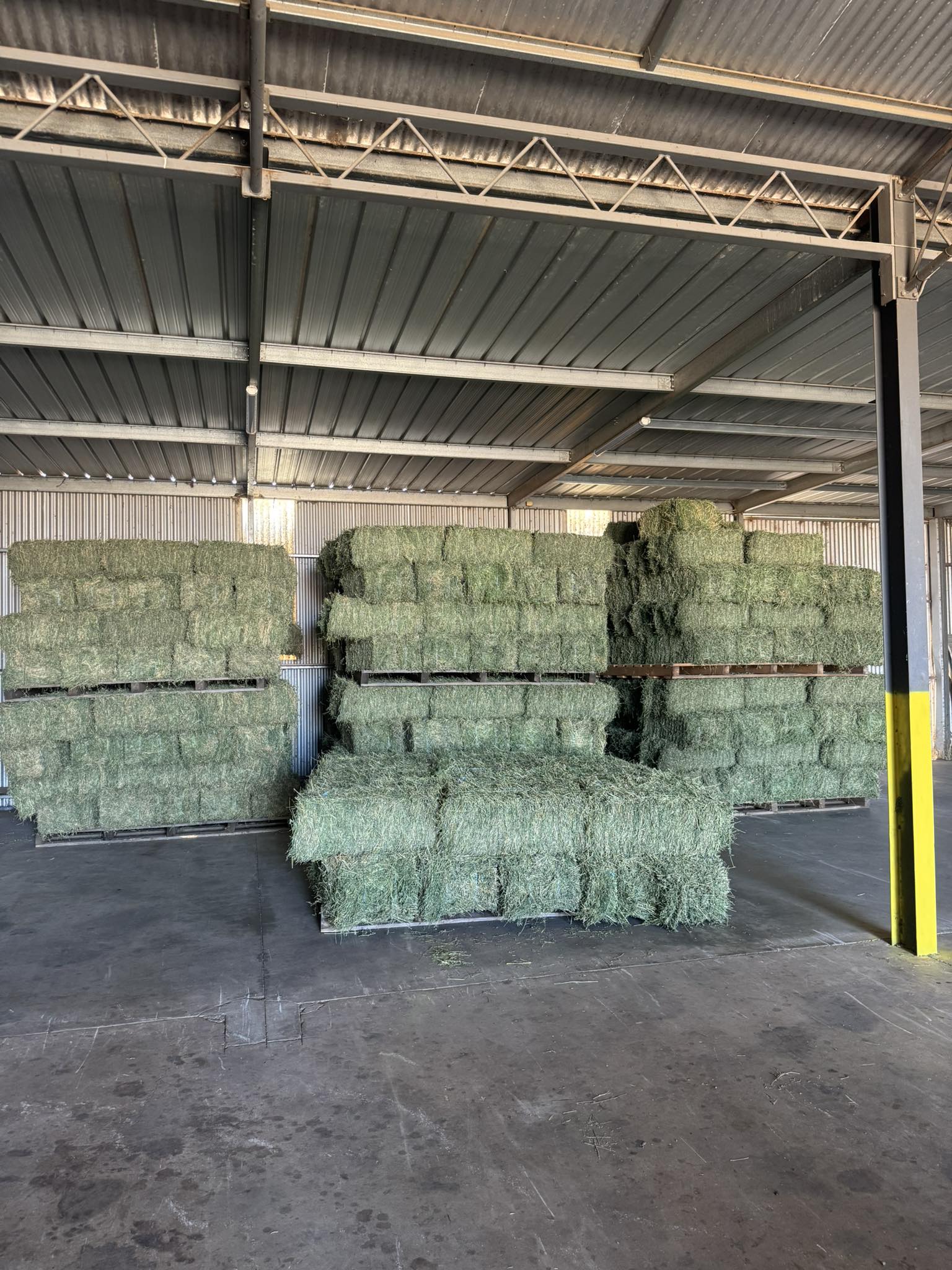 Lucerne Bales