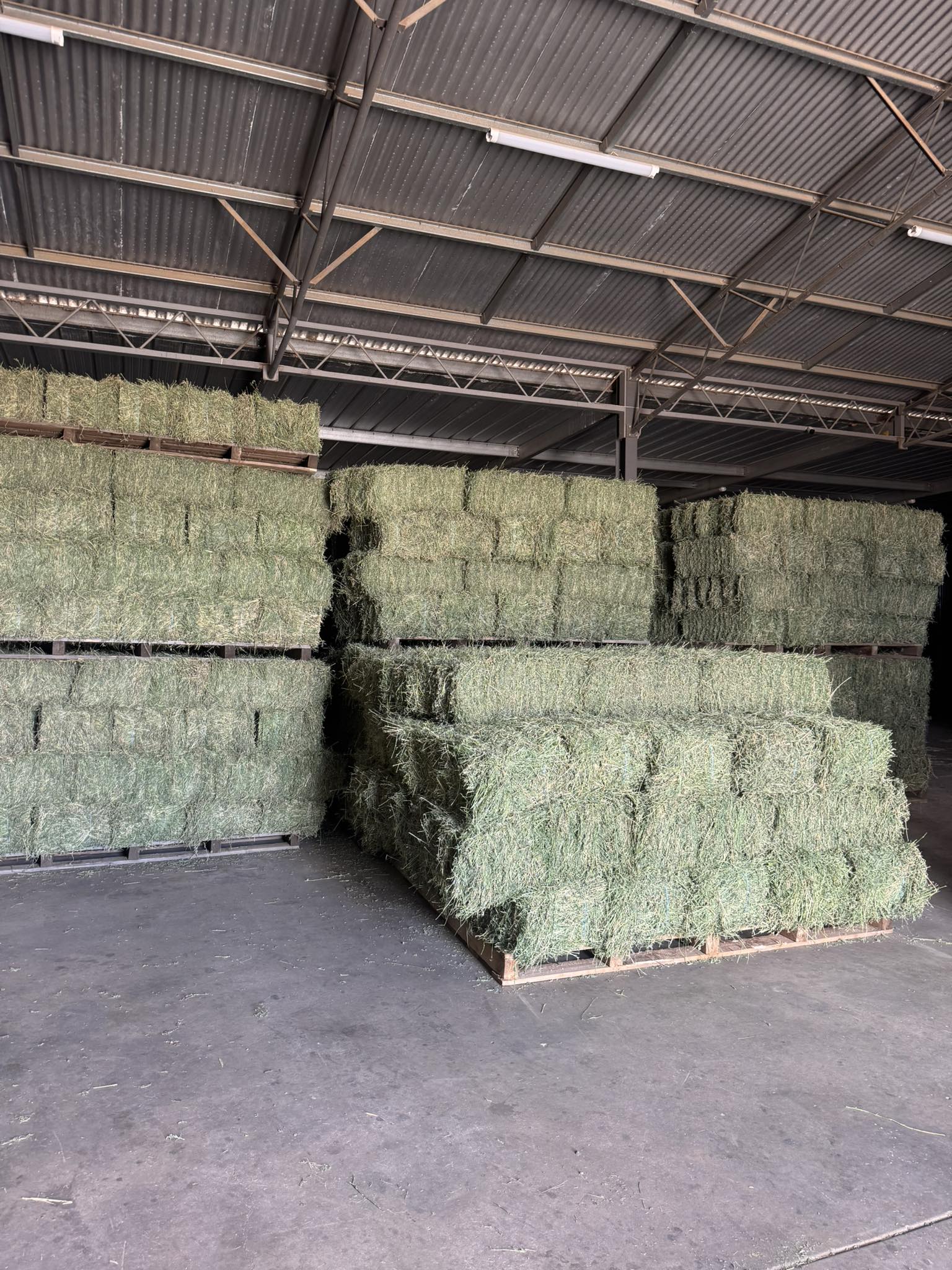 Lucerne Bales - Image 2